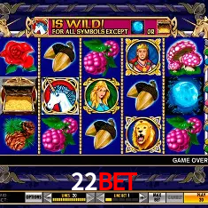 22bet Rio de Janeiro - Bonus Terms